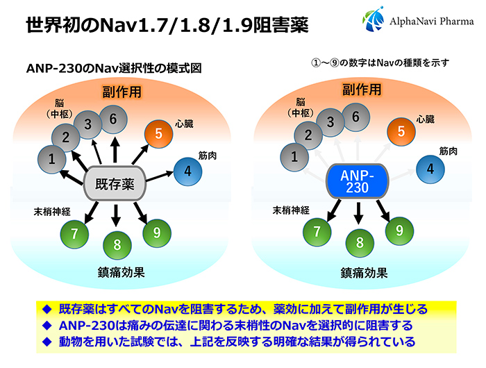 Features of ANP-230