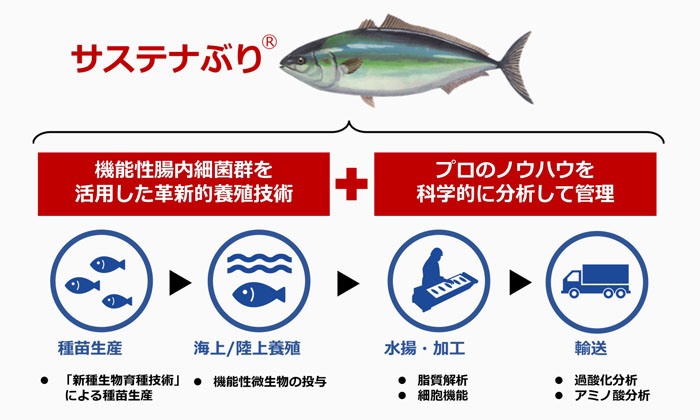 サステナぶり